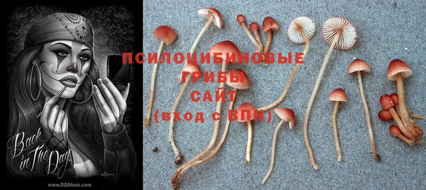 кокаин Надым