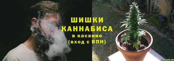 дживик Навашино