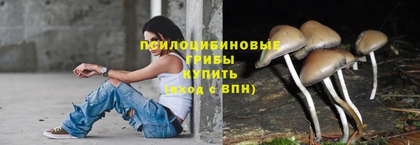 винт Наволоки