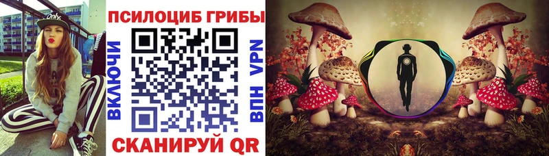 блэк спрут сайт Чердынь Псилоцибиновые грибы Magic Shrooms